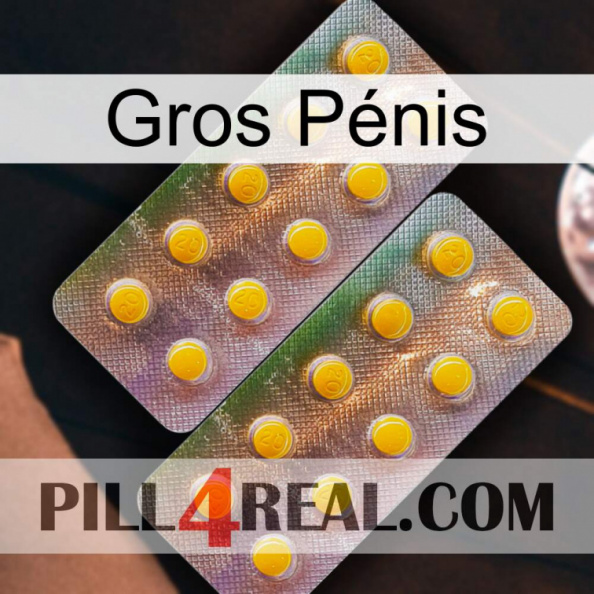 Gros Pénis new10